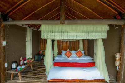 Eco Palms House - Sapa Retreat – Photos 2